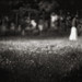 Meredith Cotton Photo 5