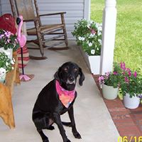 Nancy Fitts Photo 10