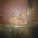 Robert Eisen Photo 14