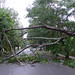 Howard Downing Photo 12