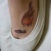 Robin Potter Photo 18