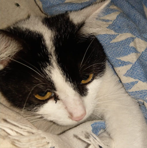 Lauren David Photo 36