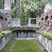 Ellen Park Photo 15