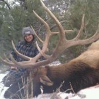 Tracy Reynolds Photo 30
