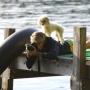 Carol Kessler Photo 38