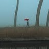 Su Liu Photo 26
