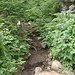 Rachel Root Photo 22