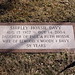 Jerry Davy Photo 10