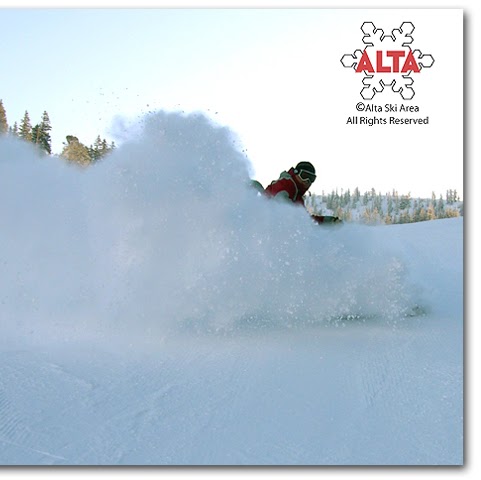 Todd Jackson Photo 27