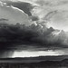 Laura Storms Photo 6