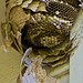 Debbie Eaves Photo 13