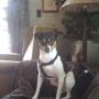 Nancy Easterling Photo 16