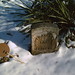 Robert Kirkland Photo 25