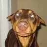 Elizabeth Dotson Photo 35