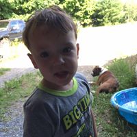 Lynn Robinson Photo 20