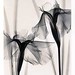 Judith Mcmillan Photo 18