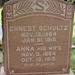 Anna Schultz Photo 16
