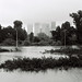 Allison Storms Photo 16