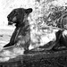 Charles Palmer Photo 44