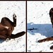 Cody Giles Photo 23