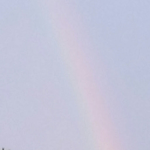 Debbie Yarbrough Photo 10