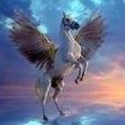 Joy Lance Photo 7