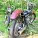Harley Webster Photo 11