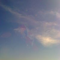 Patricia Yoder Photo 19