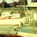 Bernice Arnold Photo 6