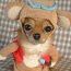 Debra Woody Photo 27