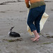 Dana Nicholson Photo 27