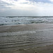 Richard Runnels Photo 13