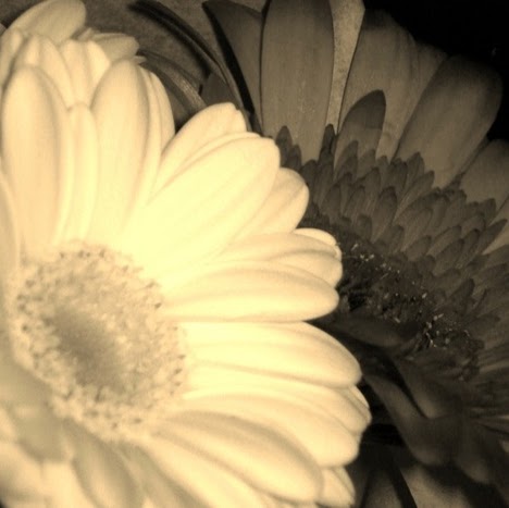 Jane Walters Photo 26