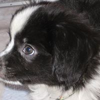 Bailey Cummins Photo 1