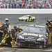 Regan Martin Photo 14