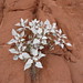 Lori Lucas Photo 21