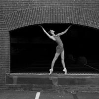 Ava Collins Photo 10