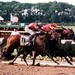 Steven Desormeaux Photo 8