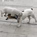 Chien Lee Photo 11