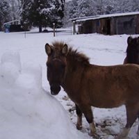 Mike Coggins Photo 4