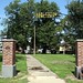 Diane Ritchey Photo 18