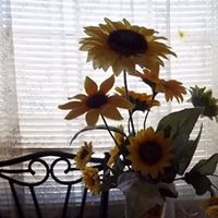 Ellen Roberts Photo 40