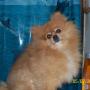 Judy Tucker Photo 16