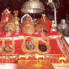 Surender Sharma Photo 12