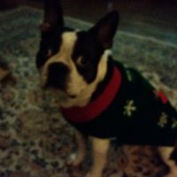 Nancy Handley Photo 11