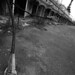 Michele Farina Photo 17