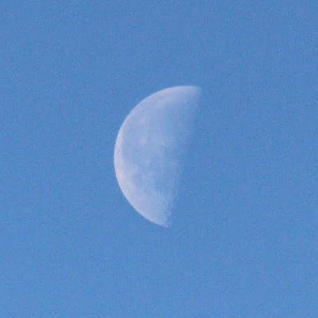 Debbie Childers Photo 2