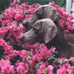 Martha Kuhn Photo 24