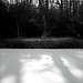 Ruth Heath Photo 19