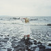 Linda Sels Photo 10